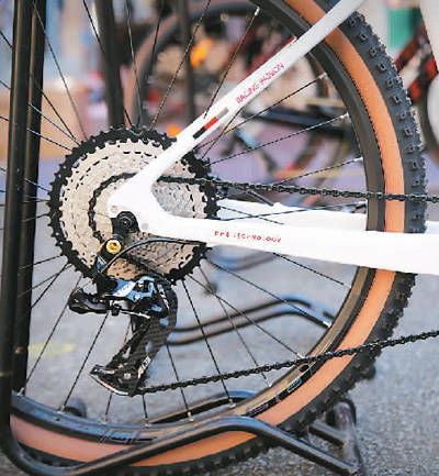 中國自行車,海外加速跑