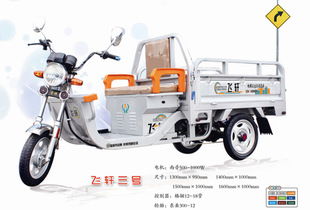 飛軒電動(dòng)車產(chǎn)品 產(chǎn)品圖片 加盟店怎么樣