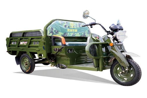 三輪電動(dòng)車有哪些品牌